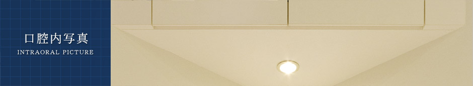 ���o���ʐ^