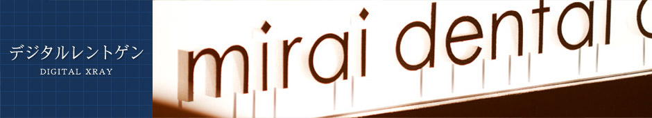 �f���^�������g�Q��